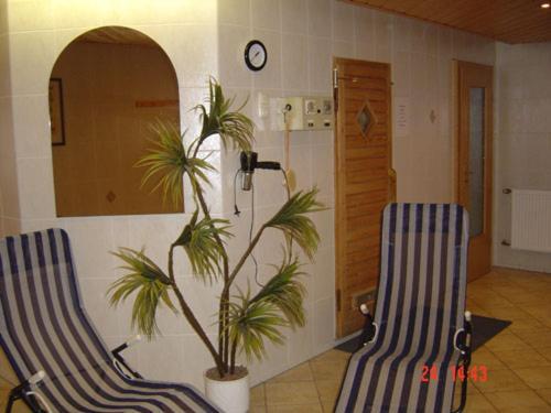 Gaststaette & Pension Alte Muehle Dorfchemnitz Экстерьер фото